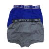 Mini Trunk Underwear Lux Cozi (02 Qty) - Gray